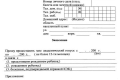 Как написать заявление на академический отпуск в колледже образец заполнения